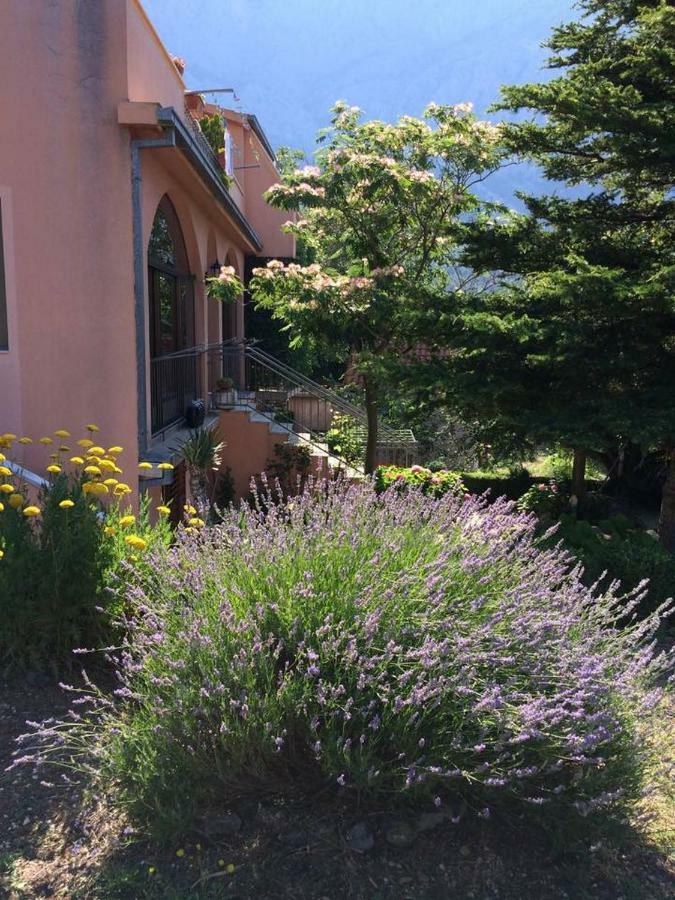 Apartments Bella Vista Makarska Dış mekan fotoğraf