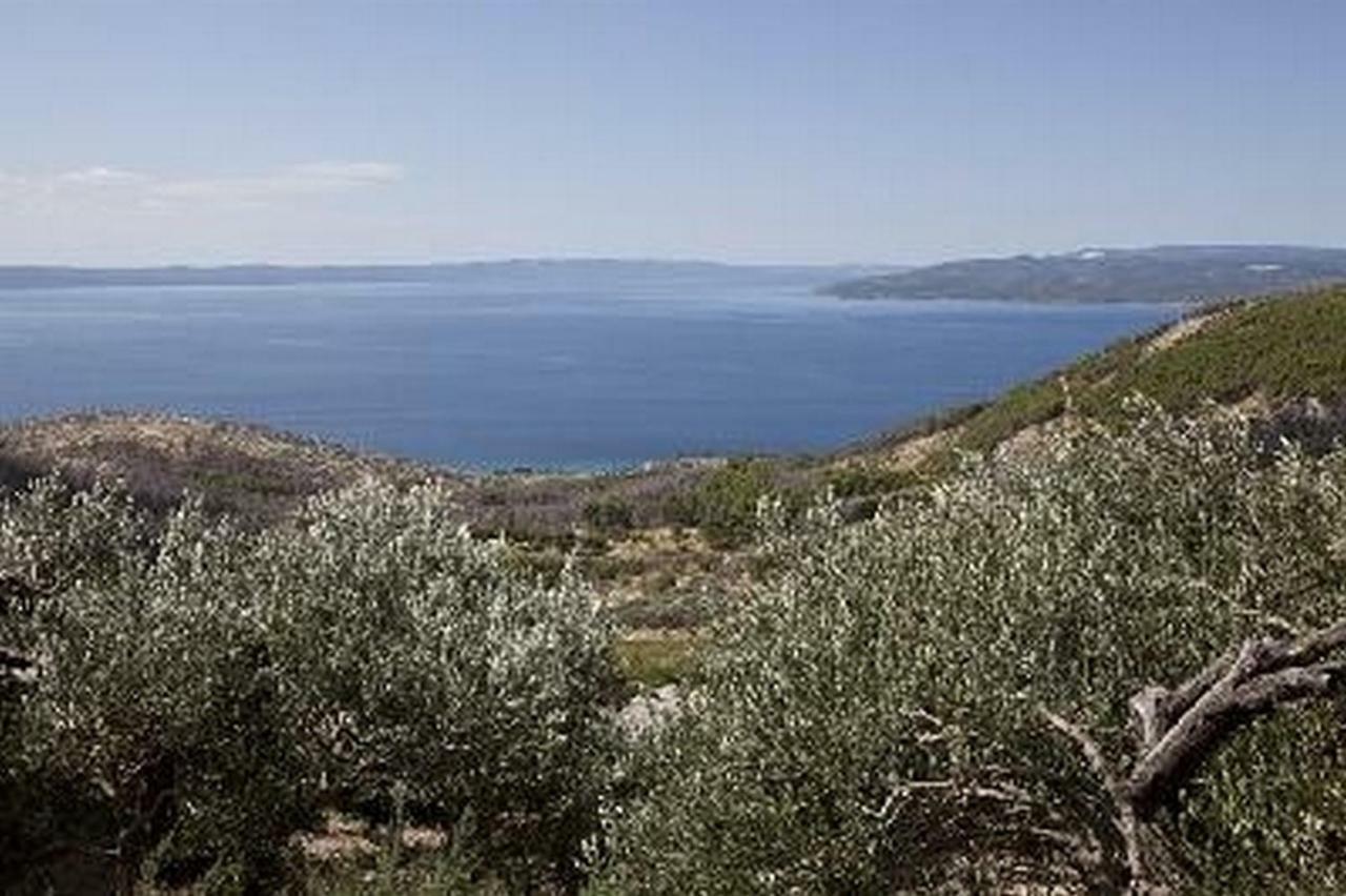 Apartments Bella Vista Makarska Dış mekan fotoğraf